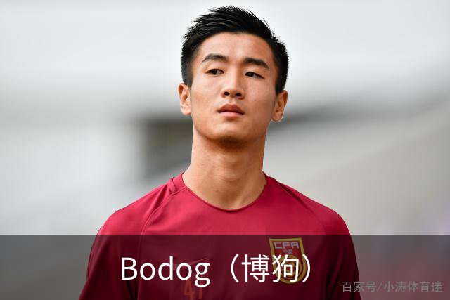 Bodog（博狗）公司简介